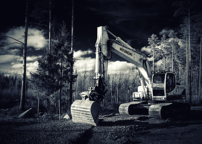 新冠疫情何时结束?从科学、社会与全球视角的思考 新冠疫情何时结束?从科学、社会与全球视角的思考