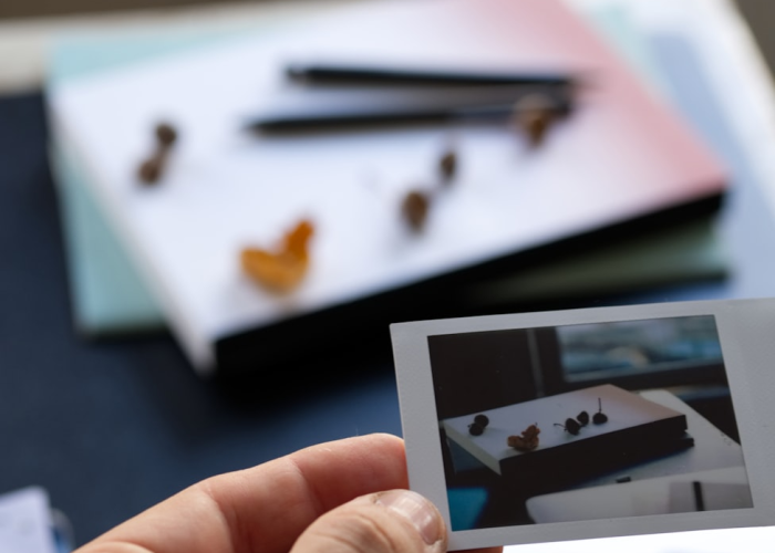 科普实测“新道游其实真有透视挂”详细分享开挂步骤 科普实测“新道游其实真有透视挂”详细分享开挂步骤