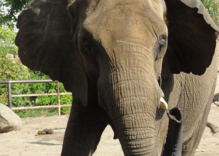 推荐一款“新道游牛牛其实是有透视挂”(其实有挂) 推荐一款“新道游牛牛其实是有透视挂”(其实有挂)