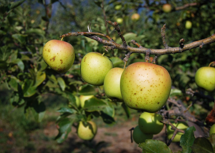 [推荐]“毛豆互娱有挂吗”开挂详细教程