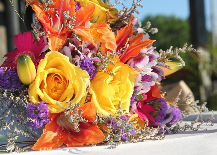 ［最新分享］“新大圣炸/金/花怎么装挂”［透视曝光猫腻］