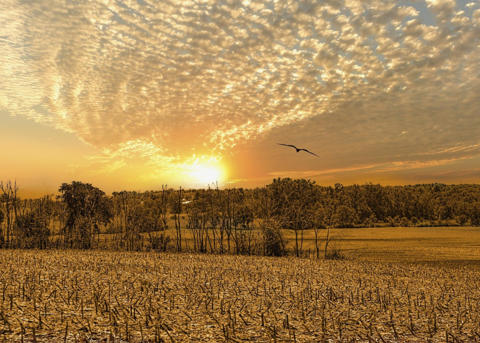 石家庄疫情多会结束?曙光在前,但需坚持 石家庄疫情多会结束?曙光在前,但需坚持