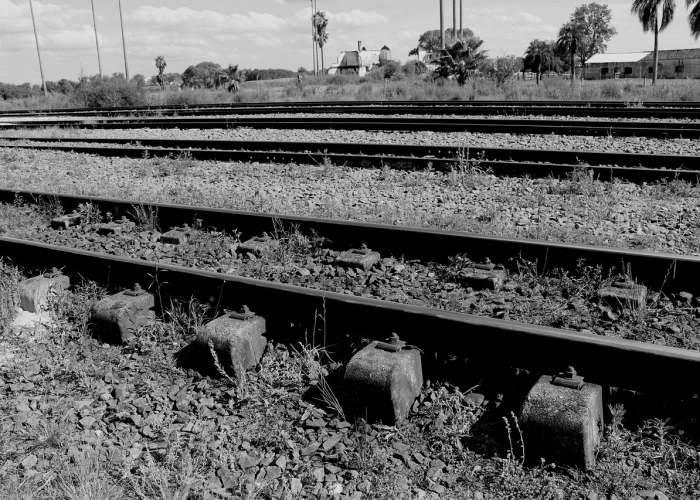 石家庄战疫记,一座城市的韧性复苏之路 石家庄战疫记,一座城市的韧性复苏之路