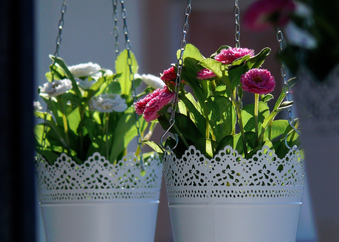 第一攻略.“花花生活圈到底有没有挂”辅助开挂教程 第一攻略.“花花生活圈到底有没有挂”辅助开挂教程