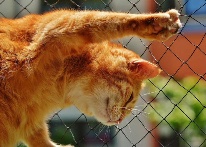 ［解答］“人海牛牛怎么开挂”［确实真的有挂］