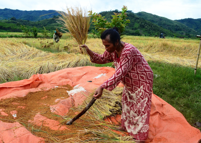 非典疫情是什么时候发生的(非典疫情是什么时候发生的呢) 非典疫情是什么时候发生的(非典疫情是什么时候发生的呢)