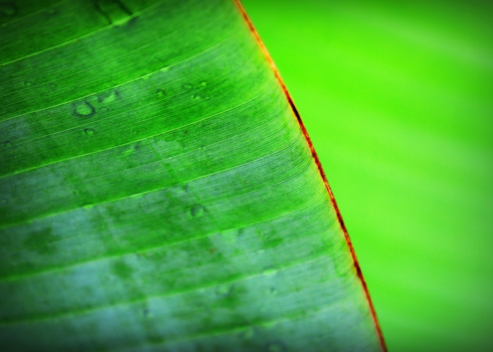 [分析]“麦穗有没有挂”开挂详细教程