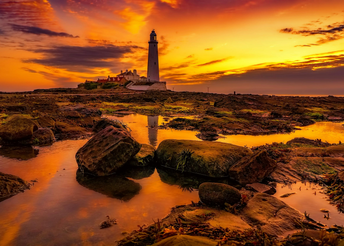 【19年底疫情爆发,19年底疫情爆发时的真实场景】 【19年底疫情爆发,19年底疫情爆发时的真实场景】