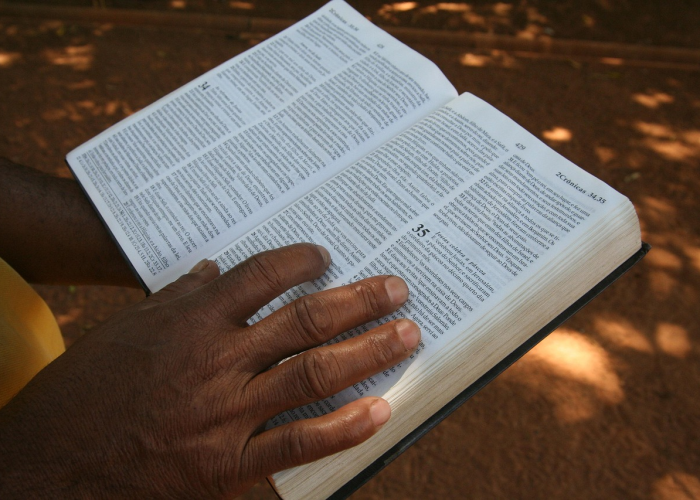 【疫情解除的时间是多久/疫情解除的时间是多久啊】 【疫情解除的时间是多久/疫情解除的时间是多久啊】