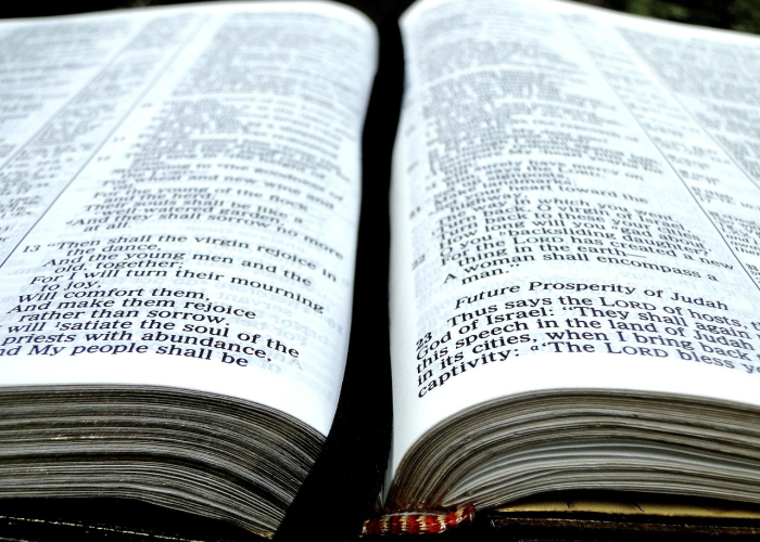 新冠疫情解封的标准是什么意思/新冠疫情解封的标准是什么 新冠疫情解封的标准是什么意思/新冠疫情解封的标准是什么