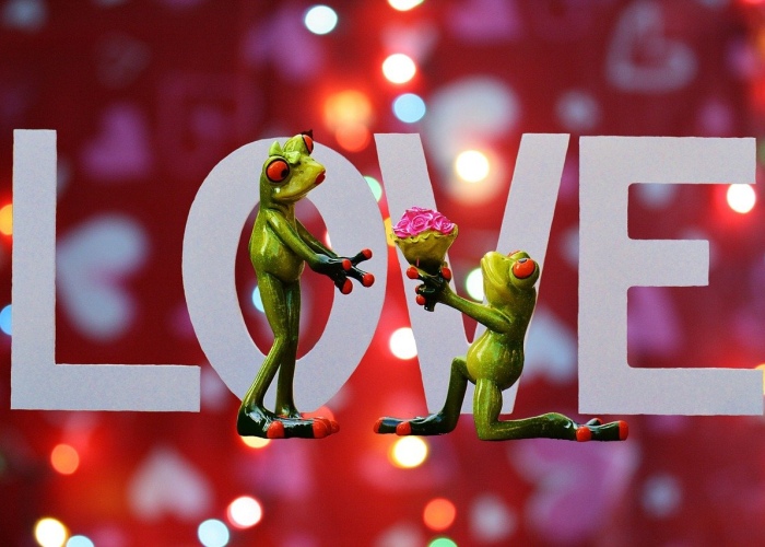 ［今日要闻］“欢乐情怀到底是不是挂”［太坑了果然有挂］