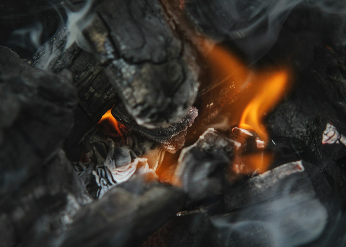 全球疫情爆发时间线/全球疫情爆发时间点