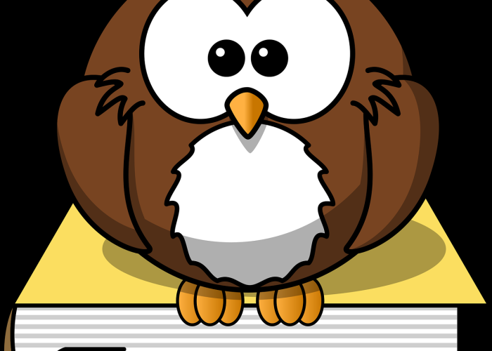 [推荐]“成语小秀真的有挂吗”有挂详细开挂教程