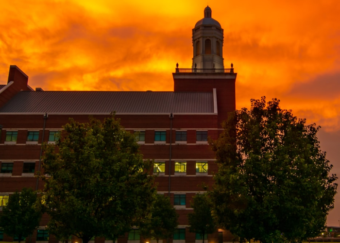 全球疫情国门开放最新动态,各国入境政策调整与趋势解读 全球疫情国门开放最新动态,各国入境政策调整与趋势解读