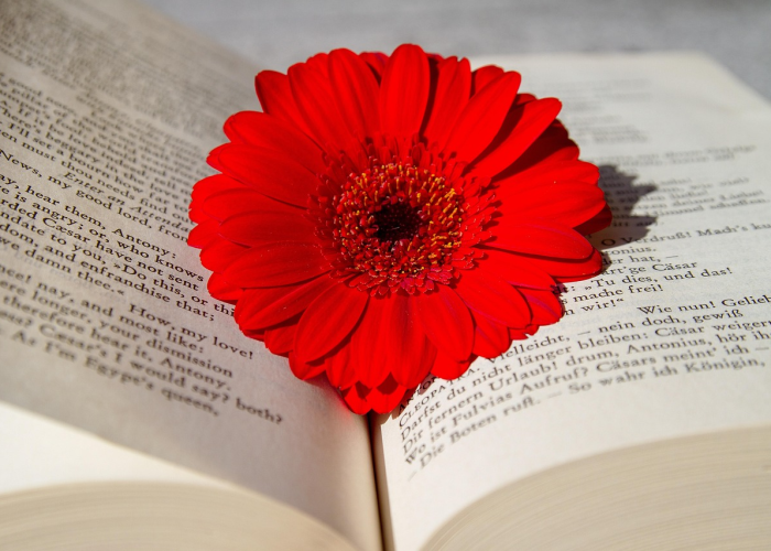 解封之后,我们失去与得到了什么? 解封之后,我们失去与得到了什么?