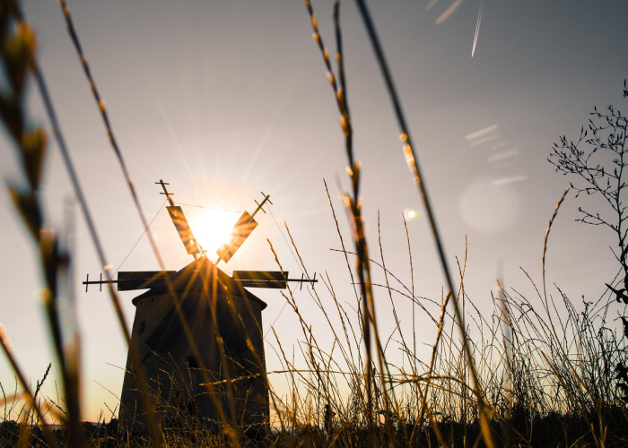 【疫情在什么时候开始的/疫情在什么时候开始的? 【疫情在什么时候开始的/疫情在什么时候开始的?