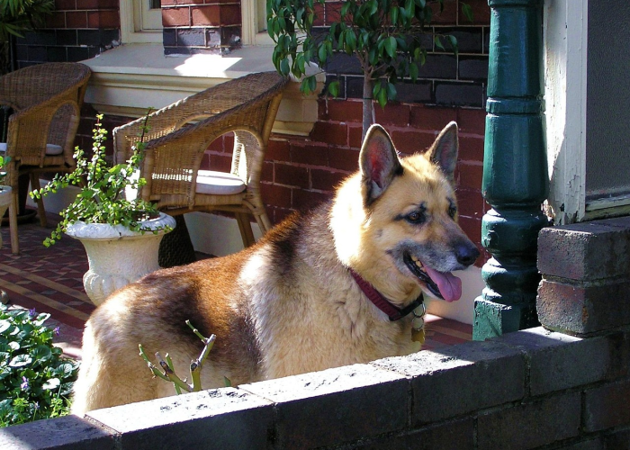 推荐一款“熊猫互娱其实是有透视软件”开挂详细方法 推荐一款“熊猫互娱其实是有透视软件”开挂详细方法