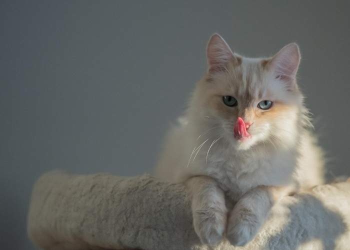 [推荐]“熊猫互娱有没有挂”(原来确实是有挂)