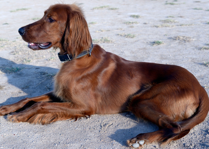 [推荐]“熊猫互娱有没有挂”(原来确实是有挂)