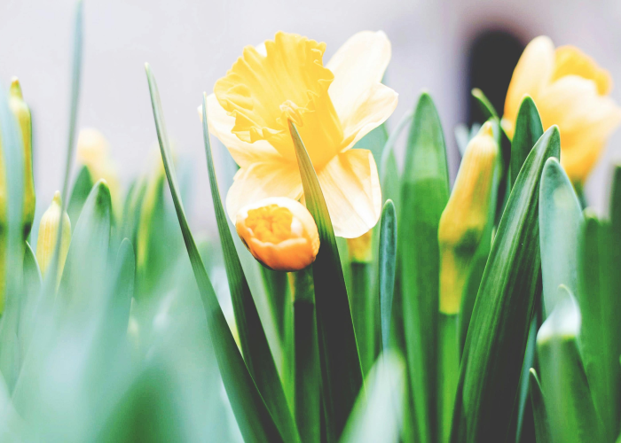 最新消息.“花花生活圈能不能开挂,有什么辅助功能”[详细开挂玩法]