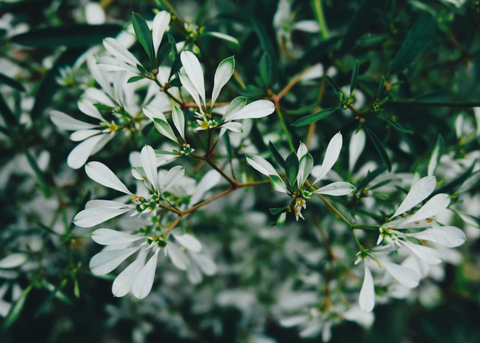 最新消息.“花花生活圈能不能开挂,有什么辅助功能”[详细开挂玩法]
