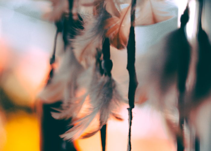 ［独家］“玄龙炸/金/花是不是有挂”［果然有透视挂］