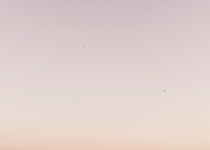 全球疫情动态一图掌握,最新数据与地图查询指南 全球疫情动态一图掌握,最新数据与地图查询指南