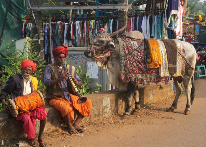 ［解答］“新道游牛牛有没有挂”［太坑了原来有挂］