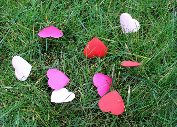 爆料“樱花互粉有挂没”(真的有挂) 爆料“樱花互粉有挂没”(真的有挂)