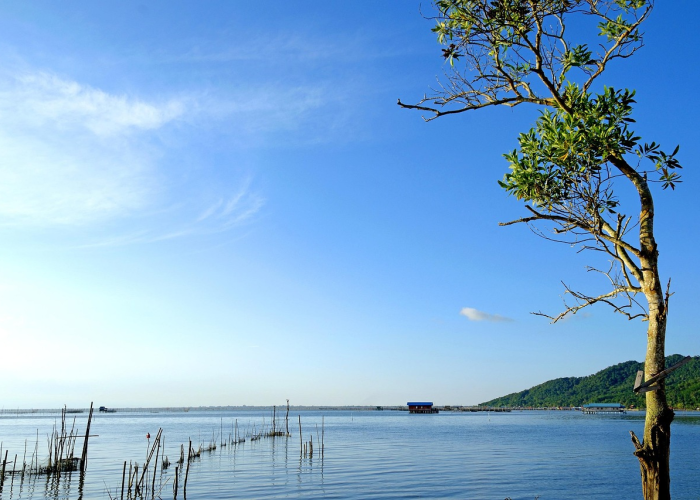 全球疫情最新动态,今日统计数据深度解读 全球疫情最新动态,今日统计数据深度解读