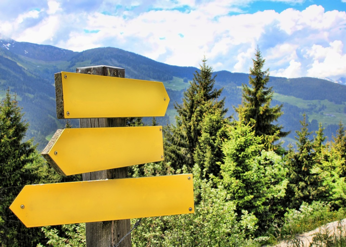 今日重磅消息“家乡大贰究竟有挂吗”［果然有透视挂］
