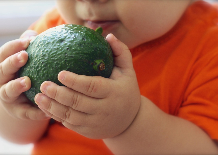 今日重磅消息“宝宝吃吃吃可以开挂吗”［透视曝光猫腻］