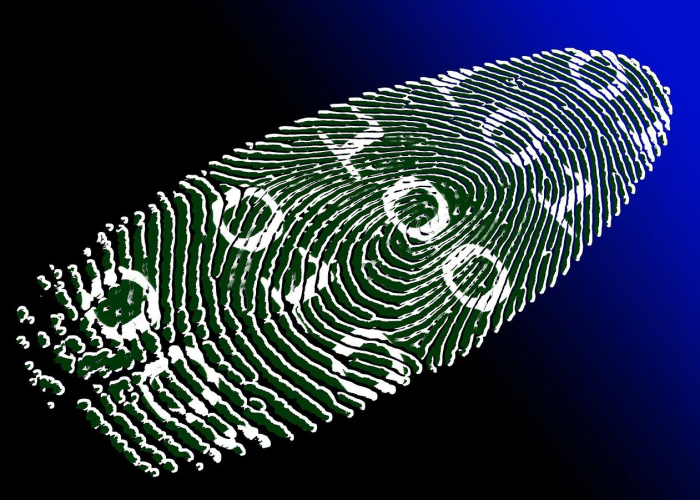 全球疫情排行榜,数字背后的生命、差异与警示 全球疫情排行榜,数字背后的生命、差异与警示