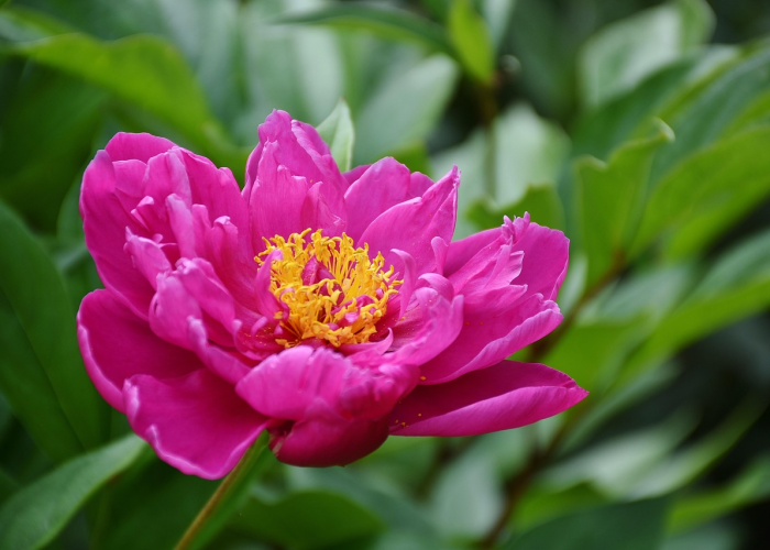 [解答]“桃花庄真的有挂吗”(原来确实是有挂)