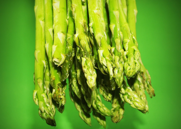 揭秘一下“新毛豆牛牛有挂没”的确有人用挂 揭秘一下“新毛豆牛牛有挂没”的确有人用挂