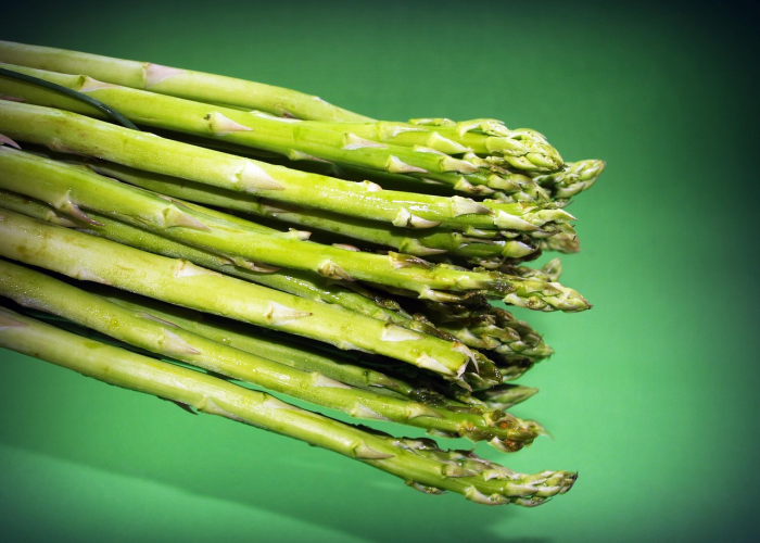 揭秘一下“新毛豆牛牛有挂没”的确有人用挂 揭秘一下“新毛豆牛牛有挂没”的确有人用挂