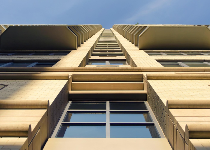 科普实测“新椰子其实真有透视挂”开挂步骤方法 科普实测“新椰子其实真有透视挂”开挂步骤方法