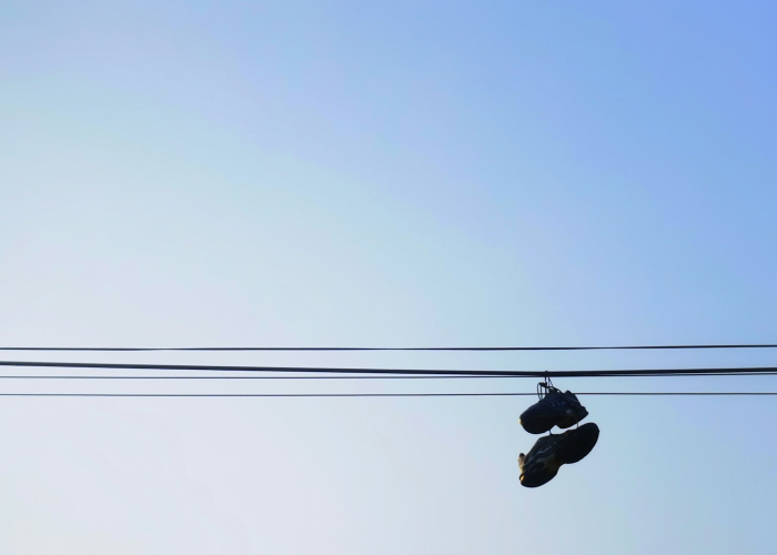 分享给大家“新起点怎么装挂”［太坑了果然有挂］