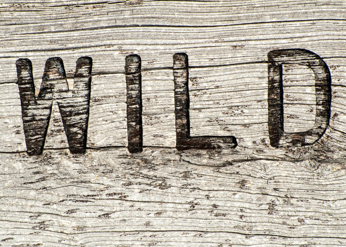 疫情最新消息数据最新统计图（疫情最新情况数据图）