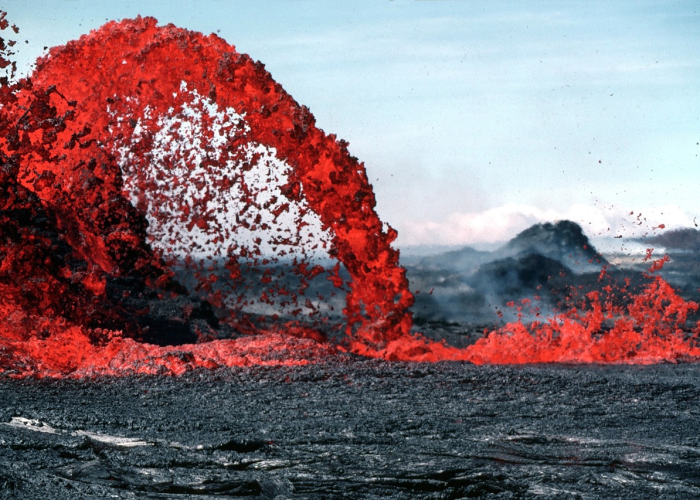 疫情是哪年爆发的呢图片/疫情是哪年爆发的呢