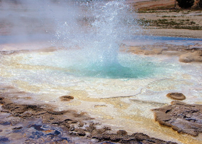 疫情是哪年爆发的?疫情是哪年爆发的新冠病毒