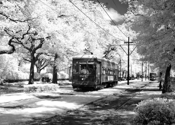 【疫情哪一年发生/疫情发生在那一年】