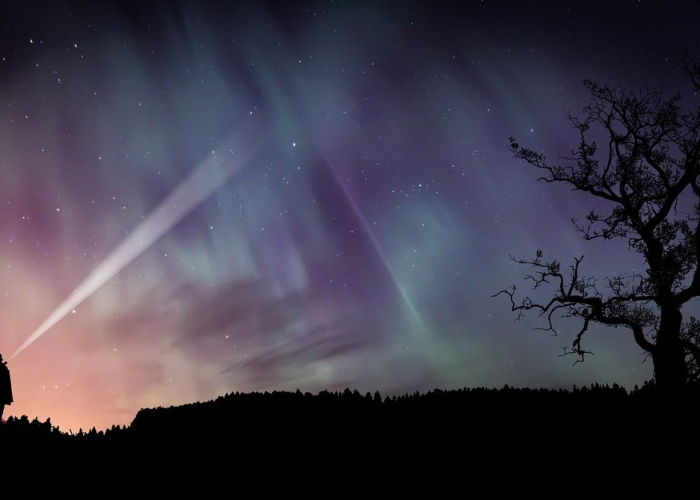 第一攻略.“鲸鲨有没有挂吗”其实真的能开挂