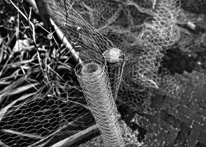 疫情是从哪一年开始的/疫情是从哪一年开始的新冠病毒 疫情是从哪一年开始的/疫情是从哪一年开始的新冠病毒