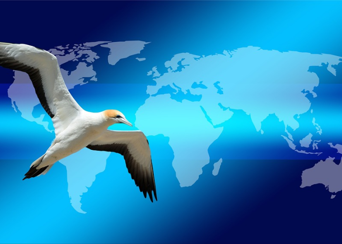 疫情开始是哪一年？2020，全球记忆的转折点