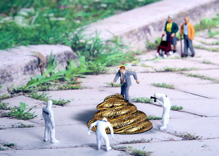 我来教教大家“新道游牛牛到底可以开透视挂吗”分享真的有挂给你