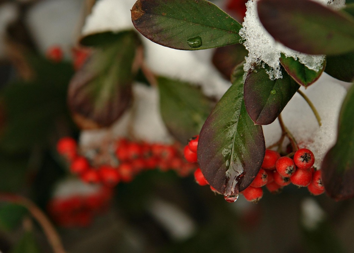 第一攻略.“毛豆大厅金花有挂吗,其实有挂是吗”(确实真的有挂) 第一攻略.“毛豆大厅金花有挂吗,其实有挂是吗”(确实真的有挂)