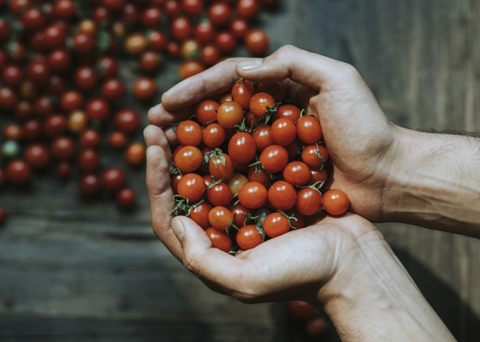 疫情这是什么病毒/疫情这是什么病毒引起的 疫情这是什么病毒/疫情这是什么病毒引起的