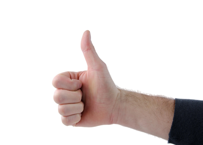 疫情指的是什么病毒(疫情指的是什么病毒类型) 疫情指的是什么病毒(疫情指的是什么病毒类型)