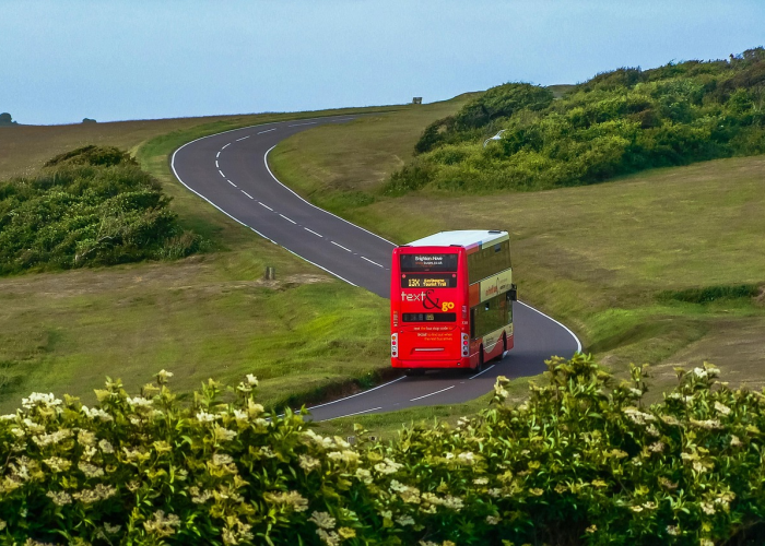 【藁城疫情是哪一年爆发的/藁城疫情是哪一年爆发的呢】 【藁城疫情是哪一年爆发的/藁城疫情是哪一年爆发的呢】